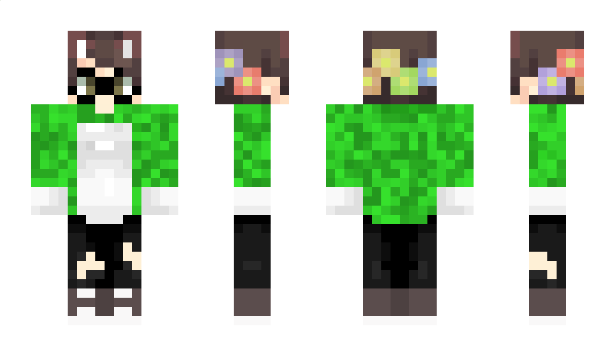 FloOderSo Minecraft Skin