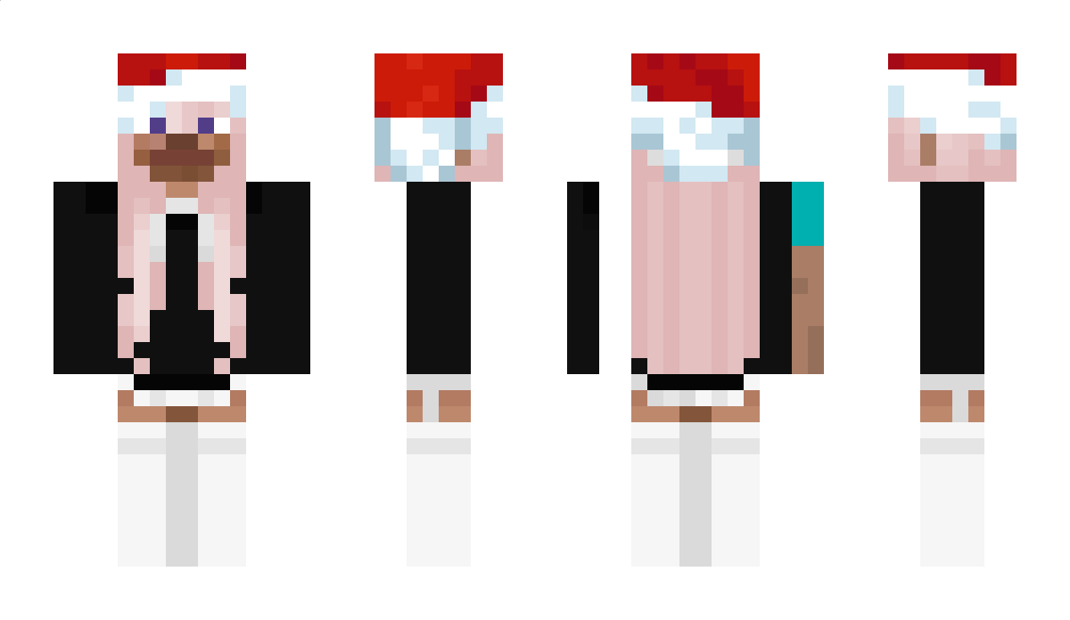 Sate Minecraft Skin