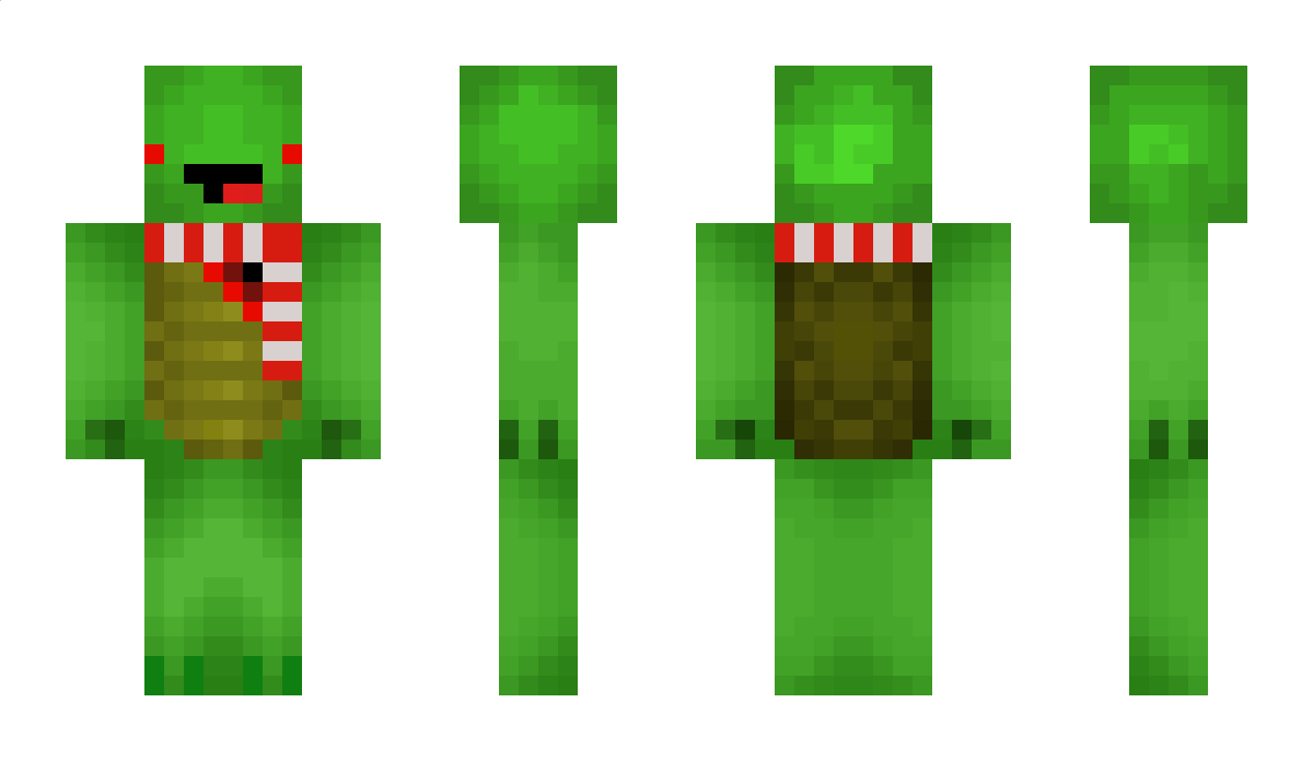 TurtleInAHat713 Minecraft Skin