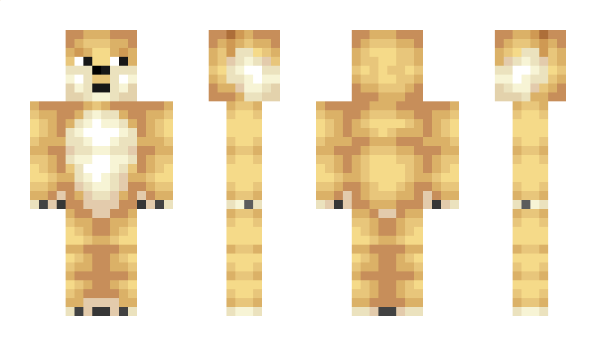 JustDashYT Minecraft Skin