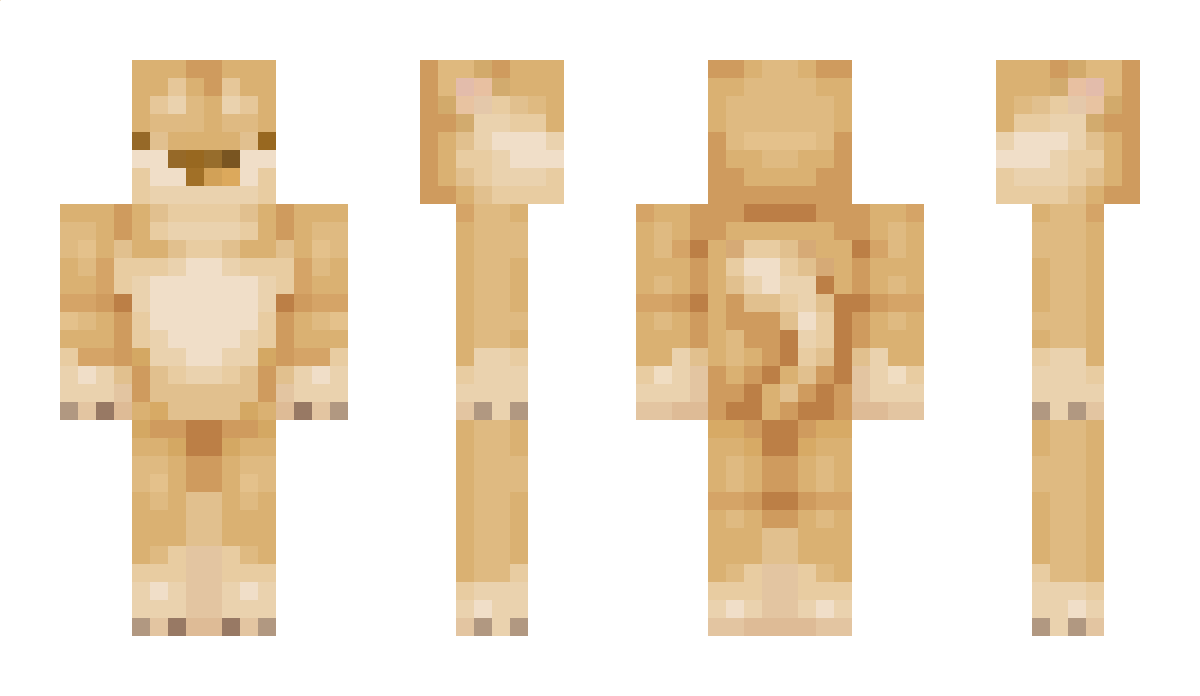 Skeppys_Fly Minecraft Skin