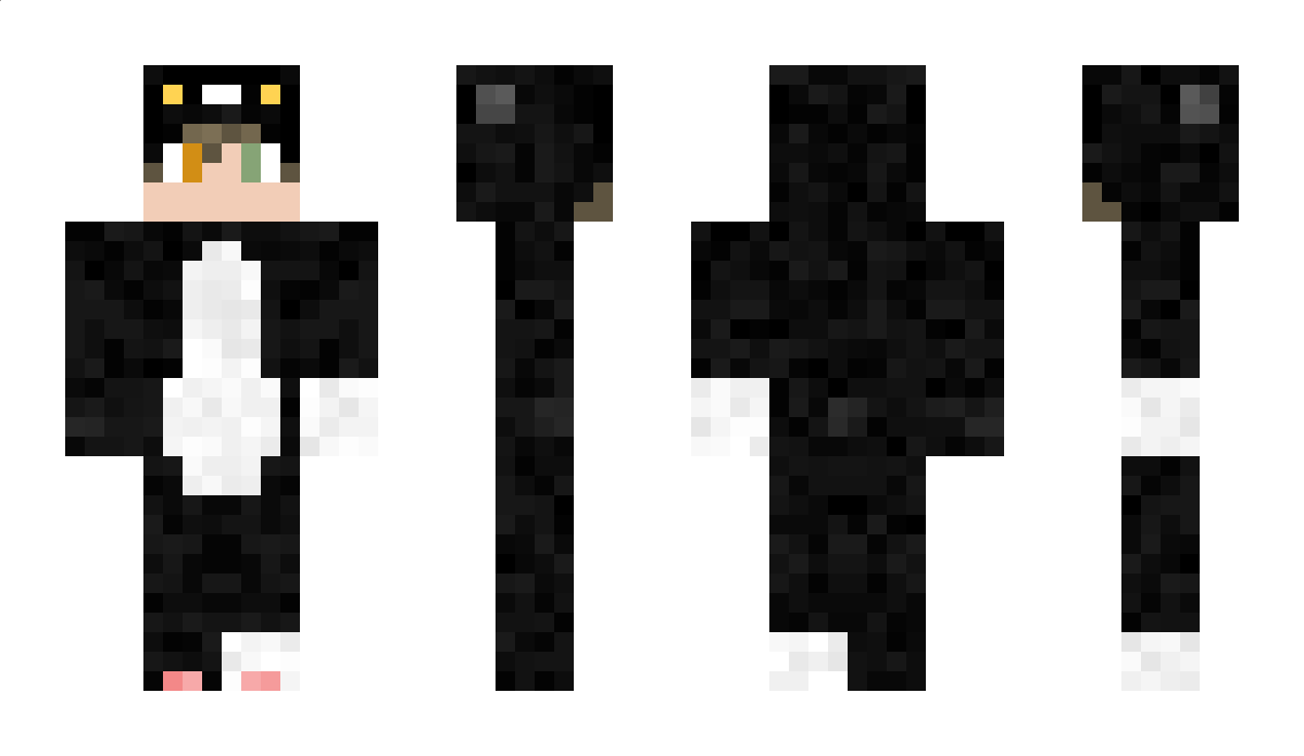 NoProblem Minecraft Skin