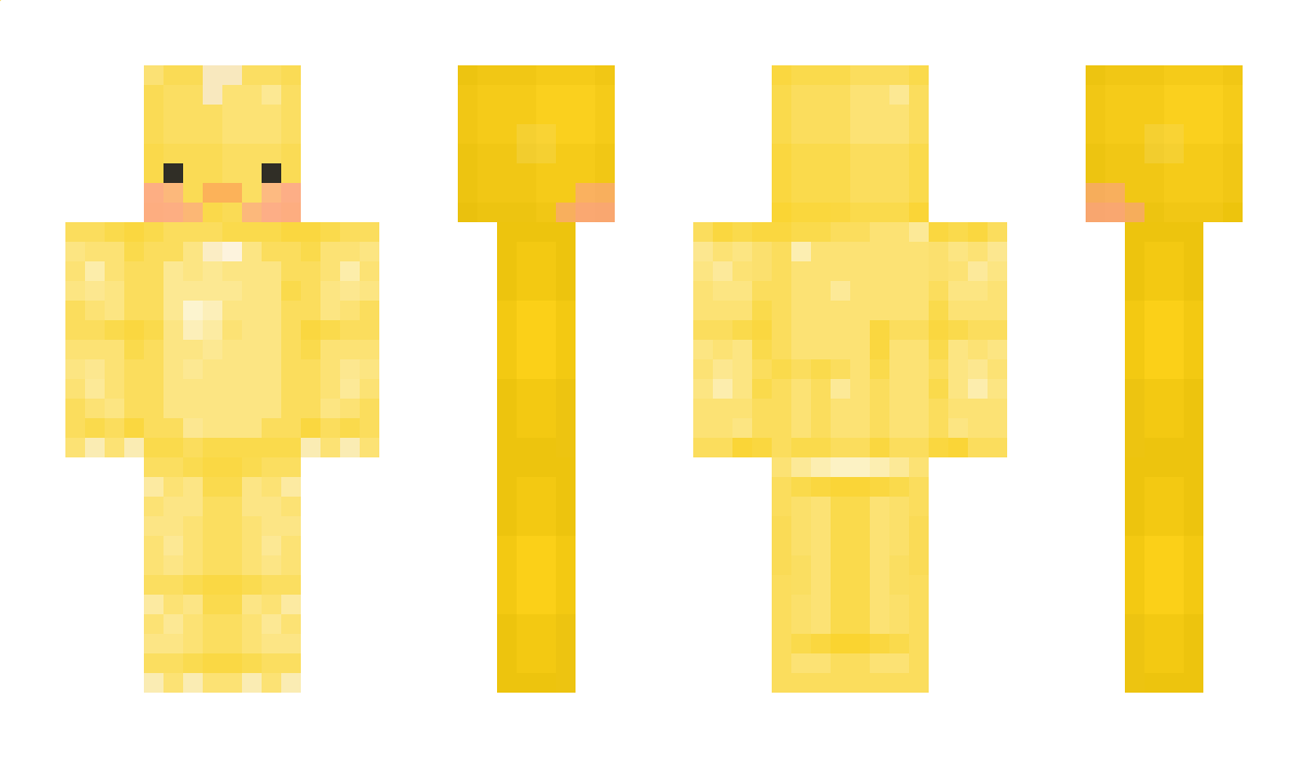 bbbangduck Minecraft Skin