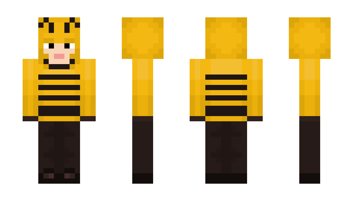 Teib Minecraft Skin