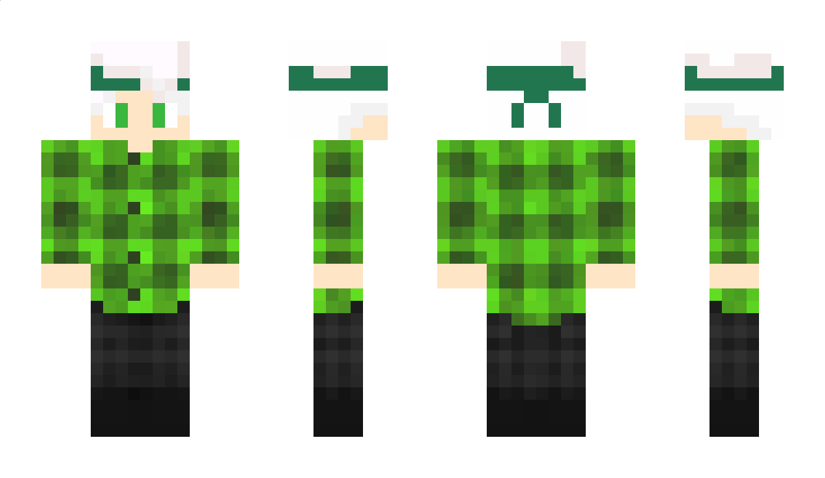 PythonP638 Minecraft Skin