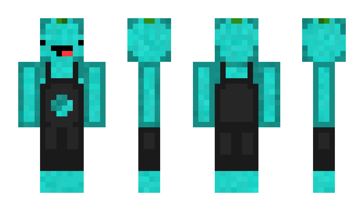 DryDev Minecraft Skin