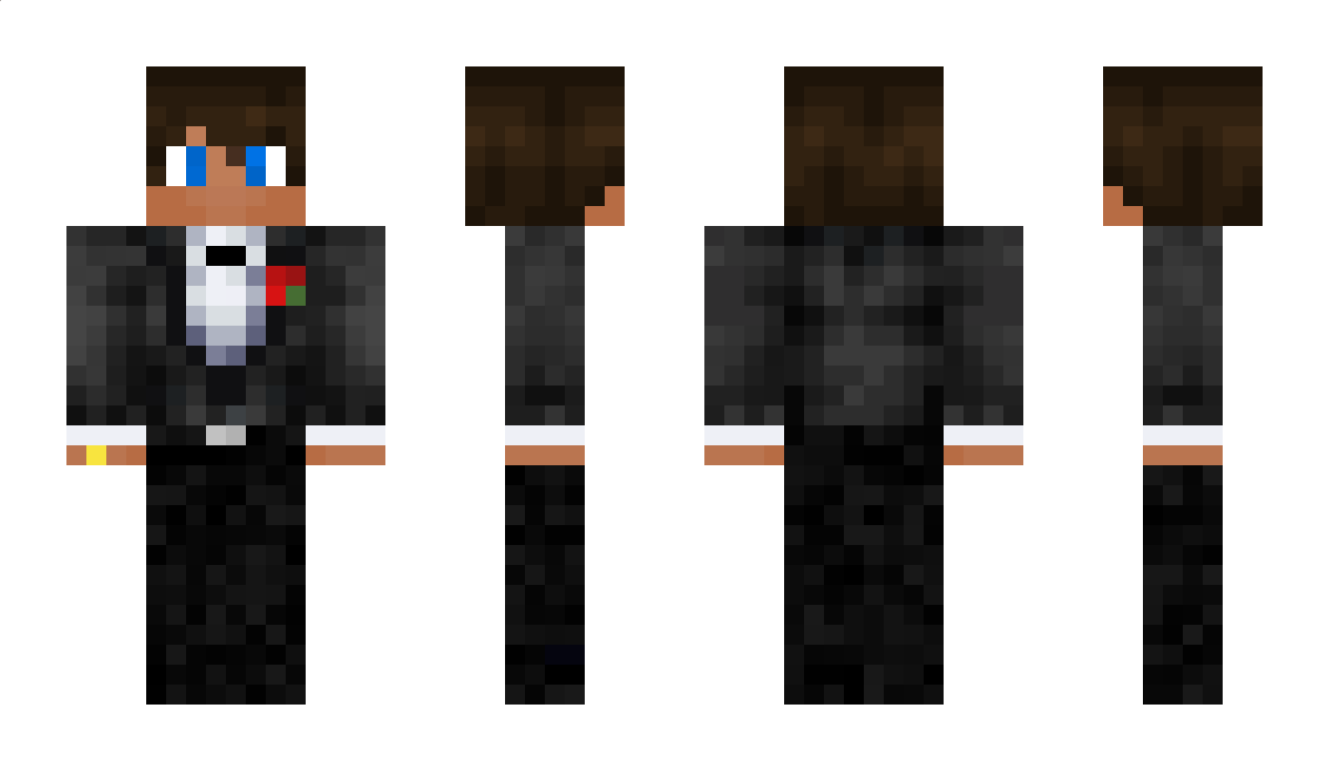 Bearvr14 Minecraft Skin