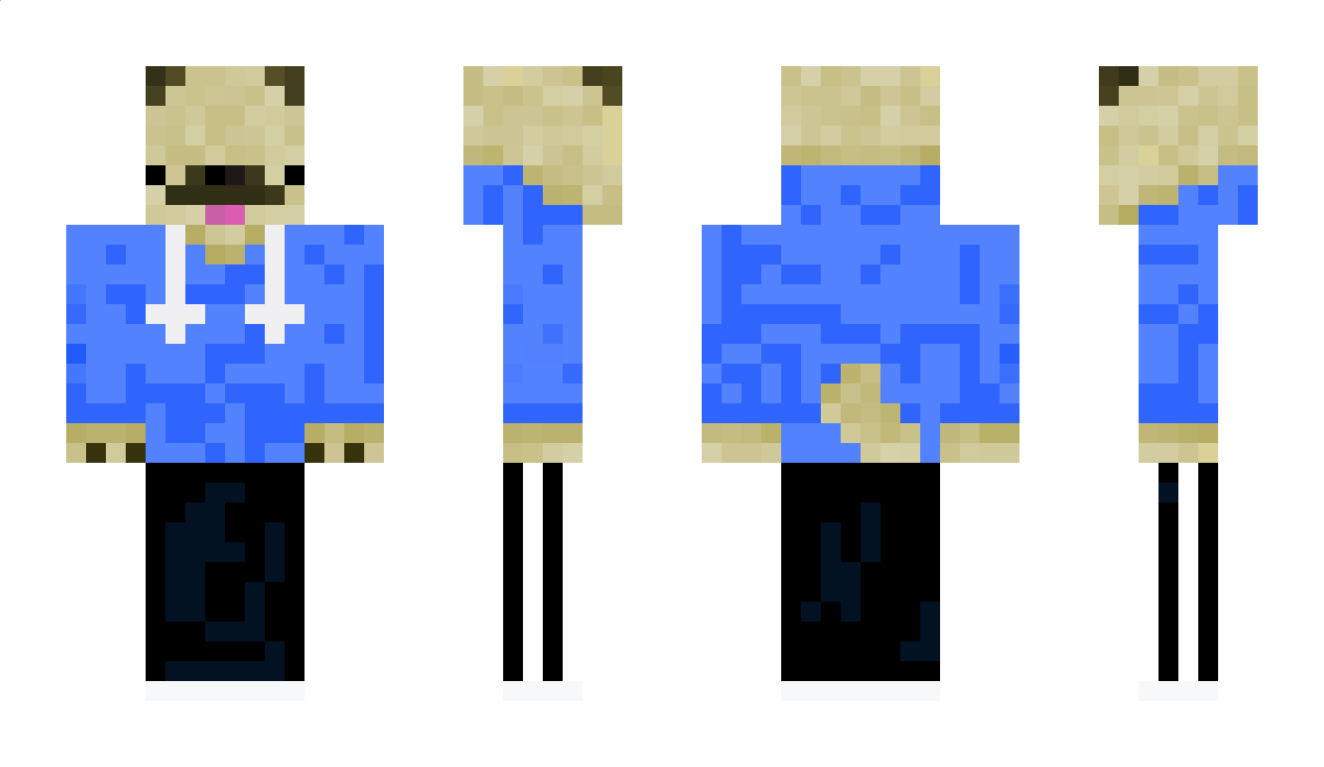 pugbowl Minecraft Skin