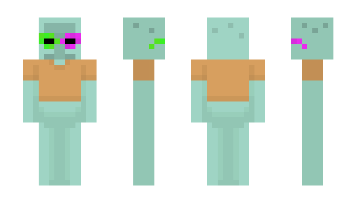 MisterCalamarc Minecraft Skin