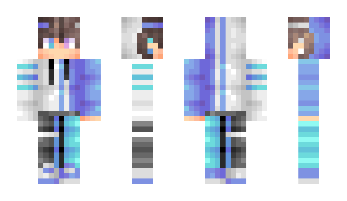 MCprolorg Minecraft Skin