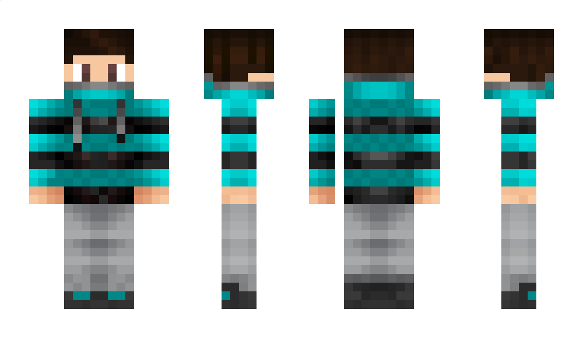 IntrovertedIce Minecraft Skin