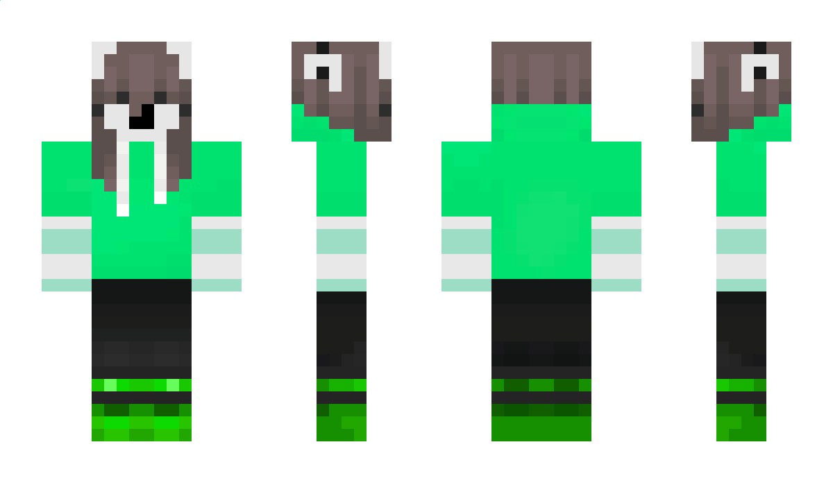 sockatoo Minecraft Skin