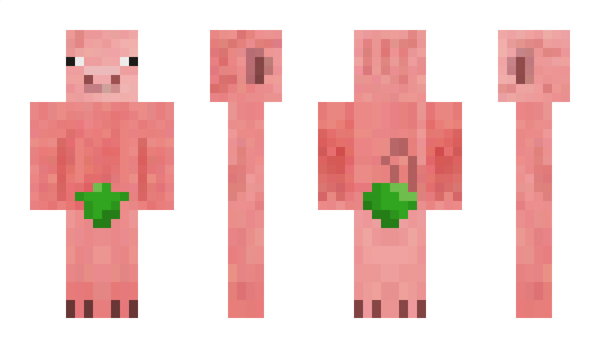 VarkentjeRund22 Minecraft Skin