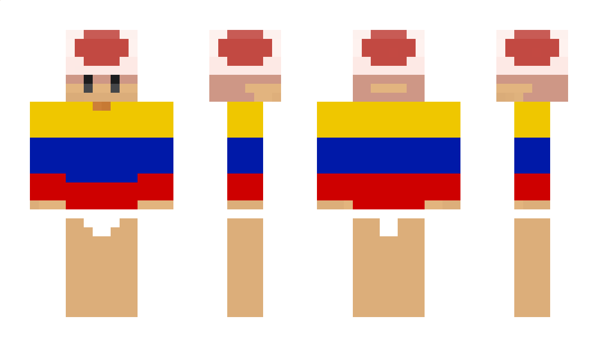 MAGlKARP Minecraft Skin