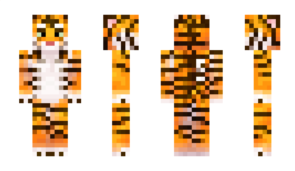 DominikM6 Minecraft Skin