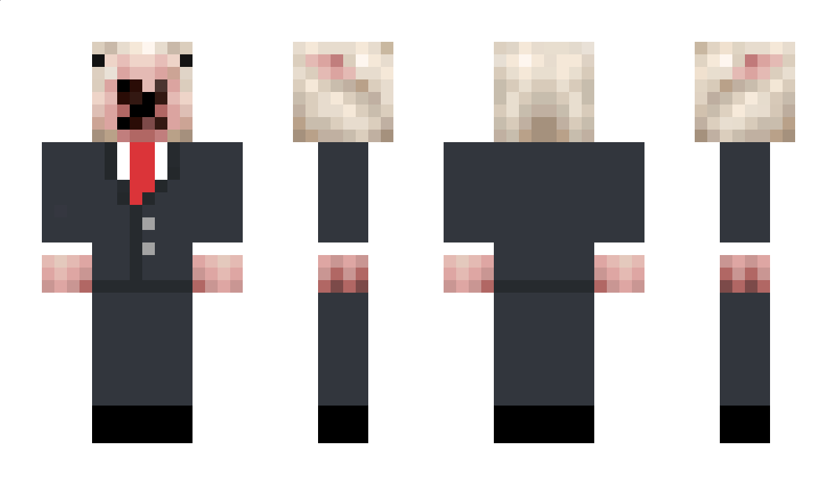 tallerpigeon Minecraft Skin