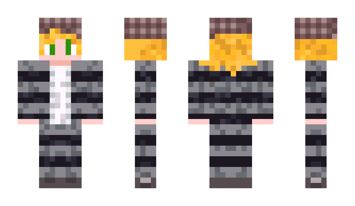 TcgStudio Minecraft Skin