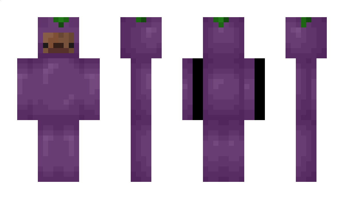 pull0 Minecraft Skin