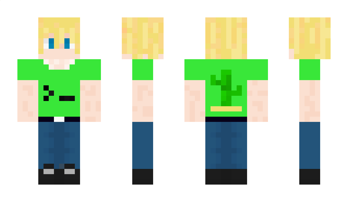 Dwarslooper Minecraft Skin