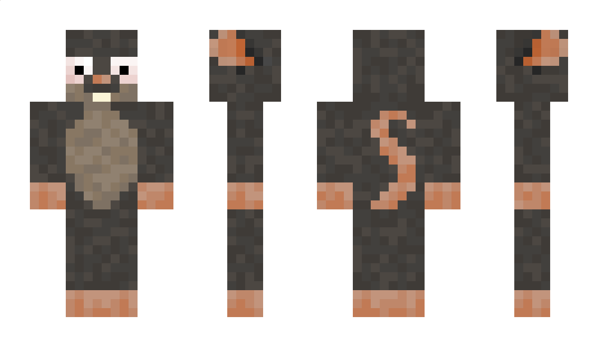 Brickwardo Minecraft Skin