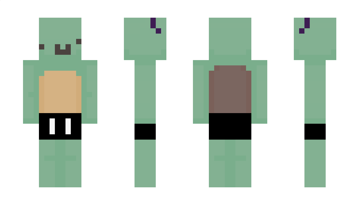 TurtlePub Minecraft Skin