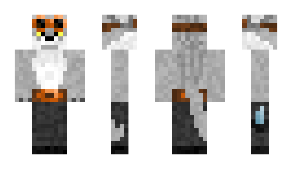 CBTcrusader Minecraft Skin