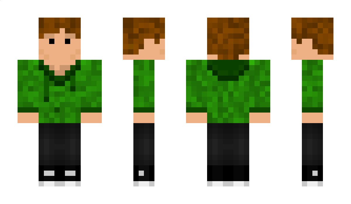 gryyfr Minecraft Skin