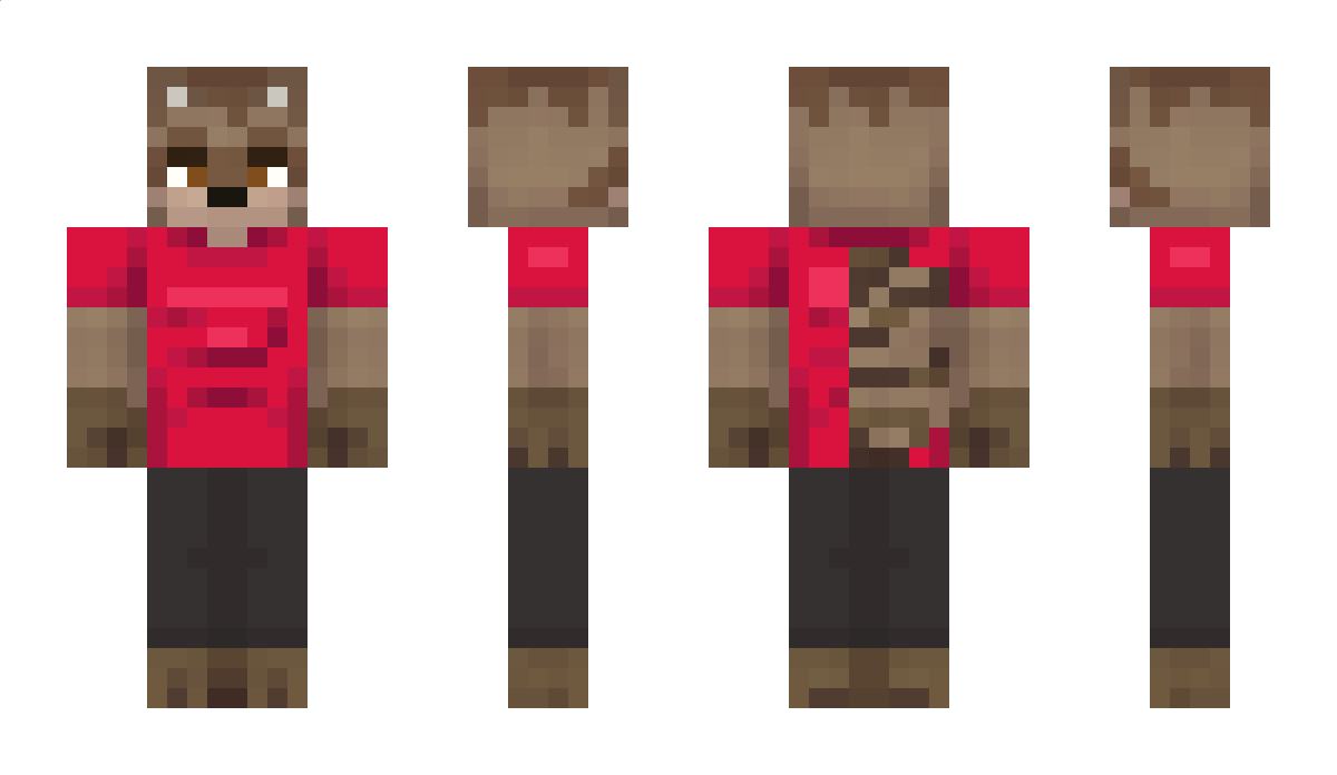 TheFunkyRacc Minecraft Skin