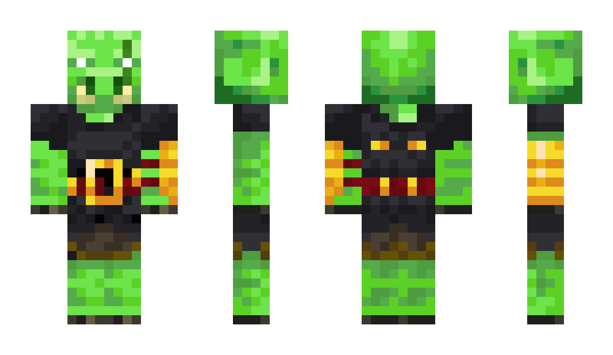 frog118king33 Minecraft Skin