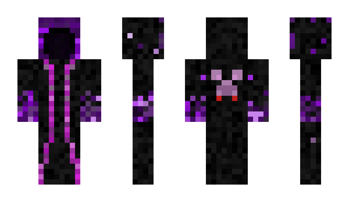 bg0815dd Minecraft Skin