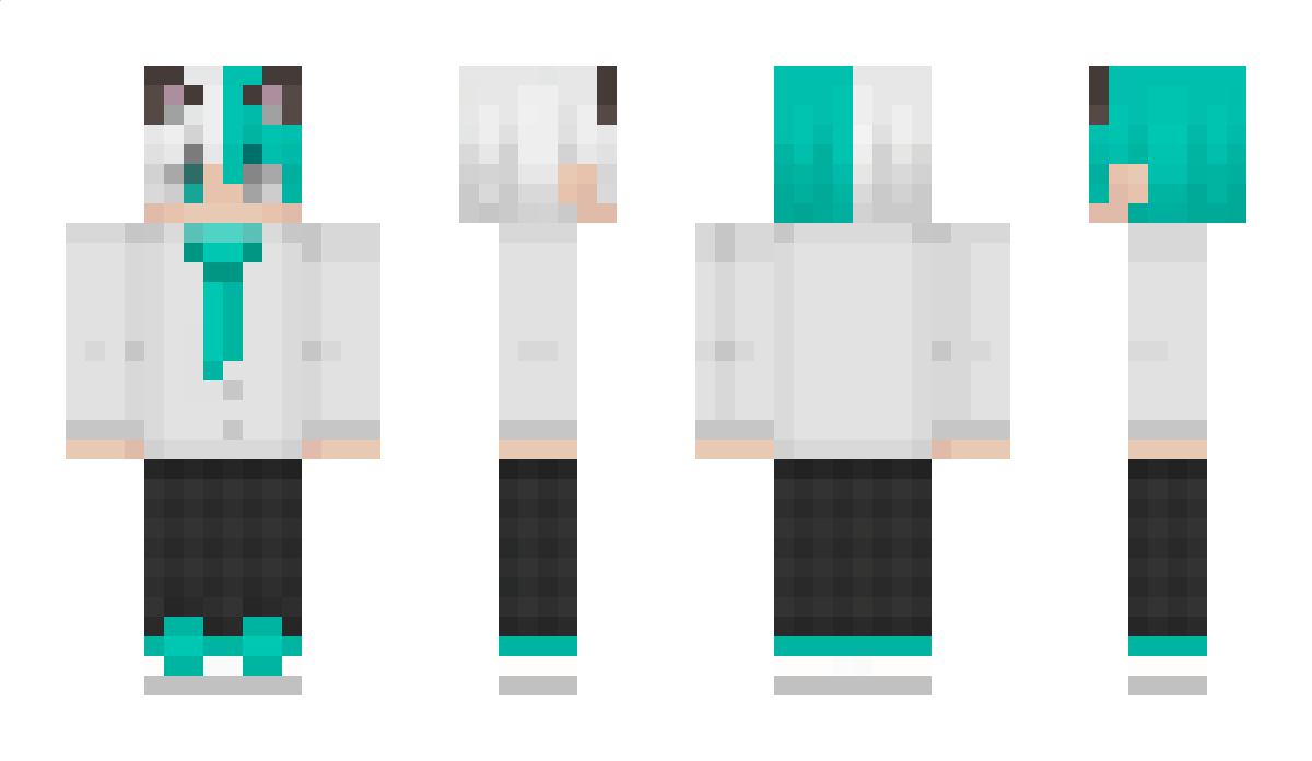 e_n_k_o Minecraft Skin