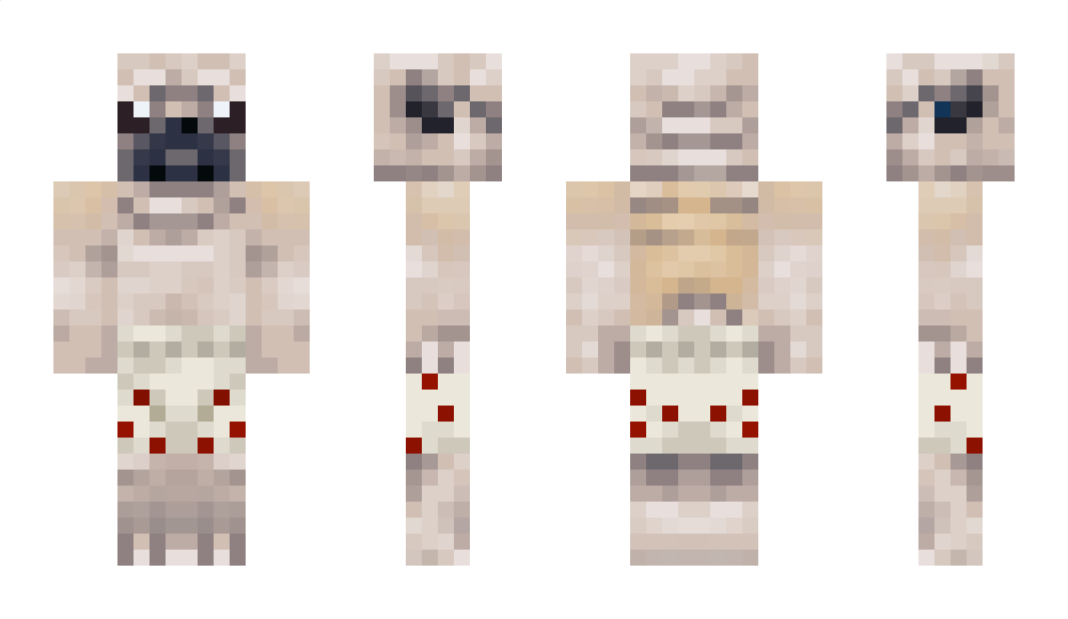 SoggyNapkin7 Minecraft Skin