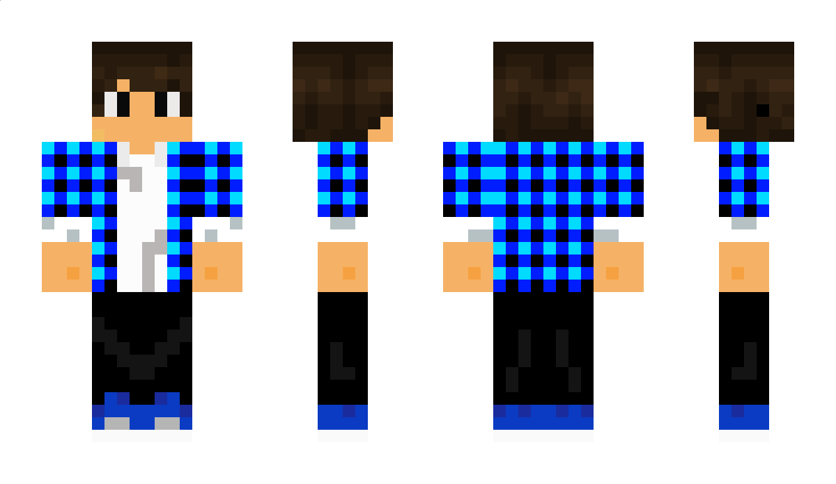 orbinice Minecraft Skin