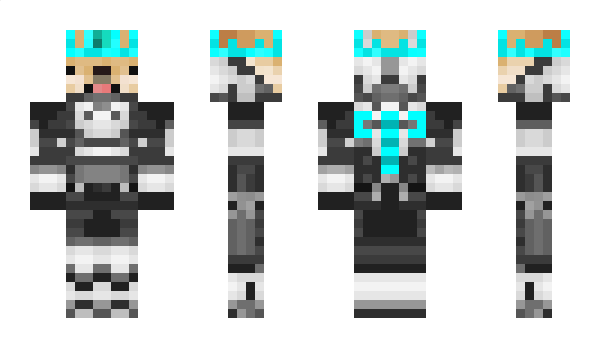 ech0wav3s Minecraft Skin