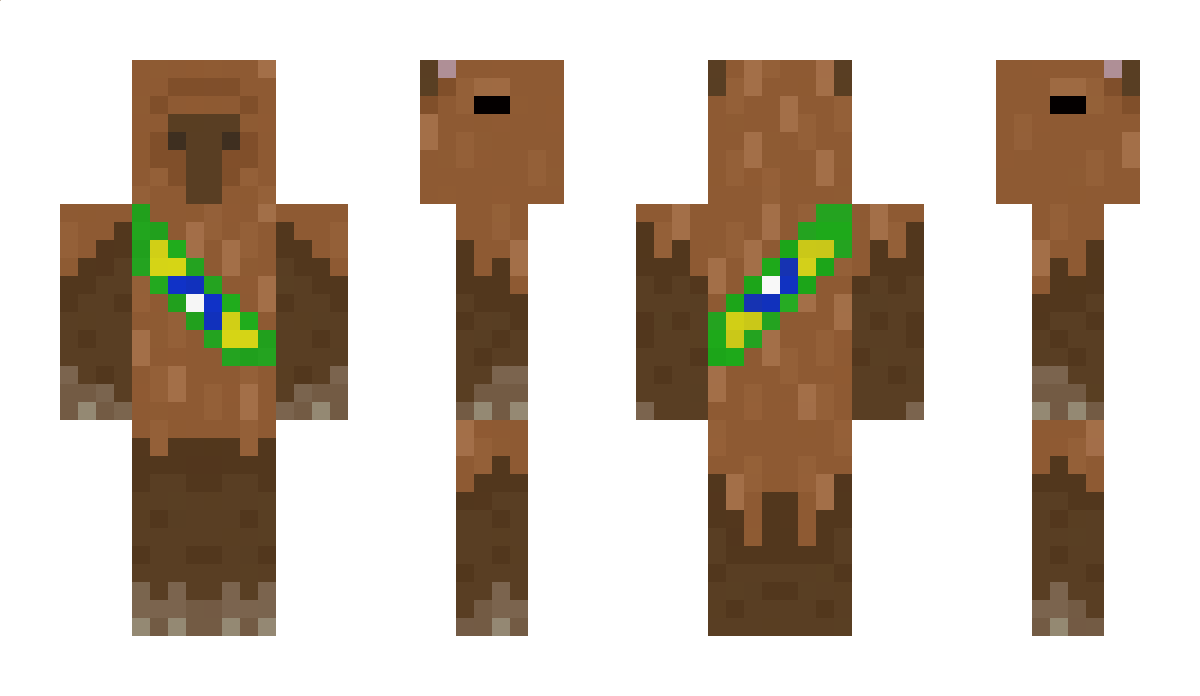 ElBrazil Minecraft Skin