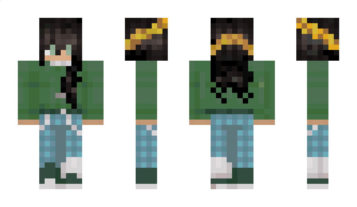 TorySans1 Minecraft Skin