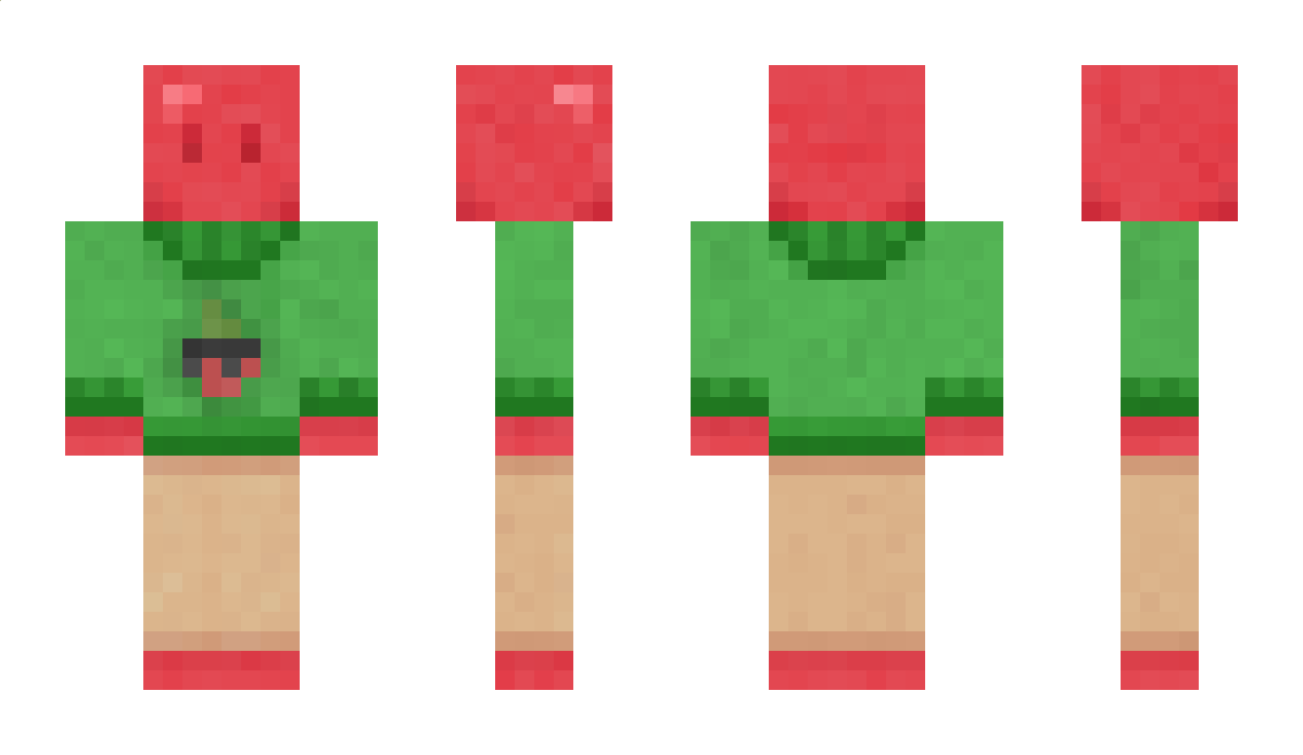 Pomilad Minecraft Skin