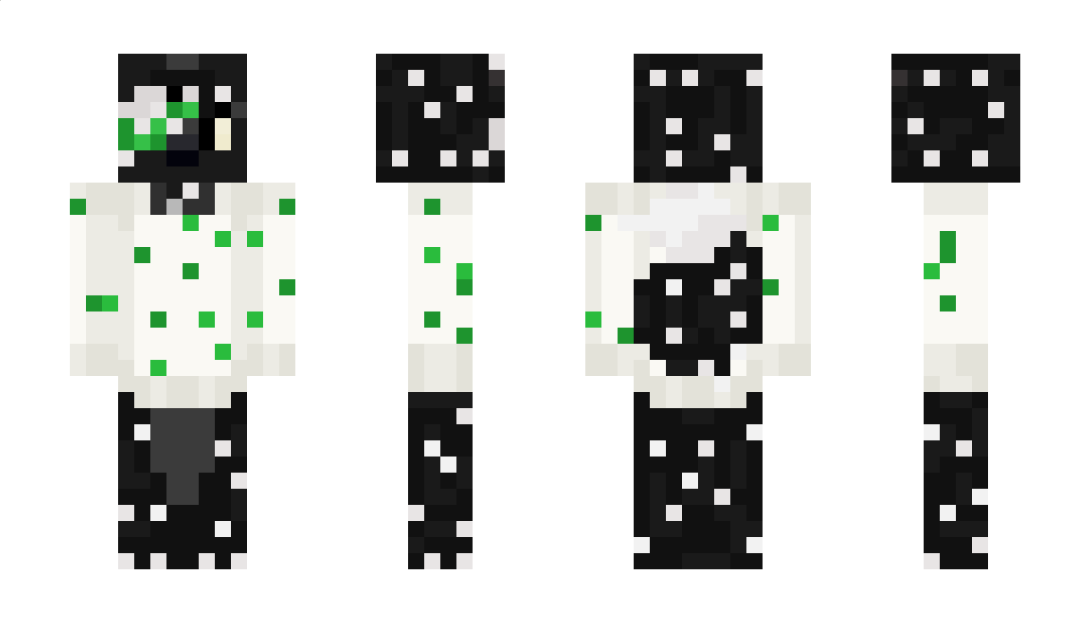 Aur0raBorealis_ Minecraft Skin