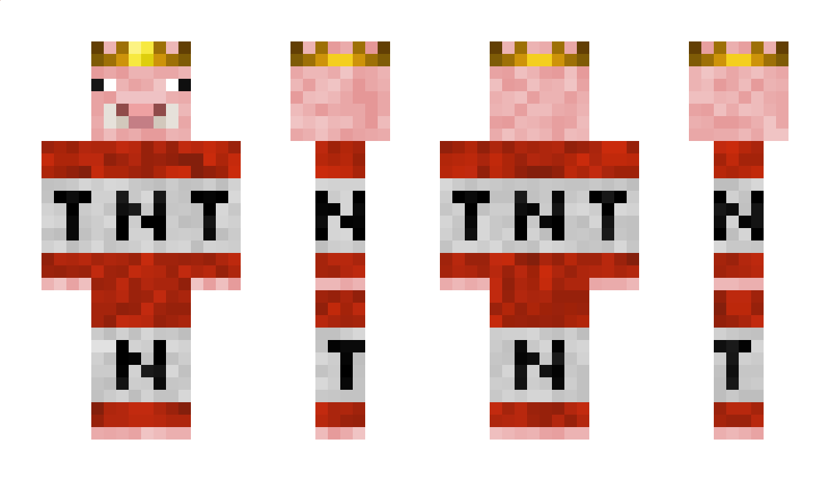 TNT_PIG Minecraft Skin