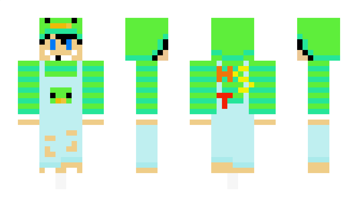 HST_Gamer Minecraft Skin