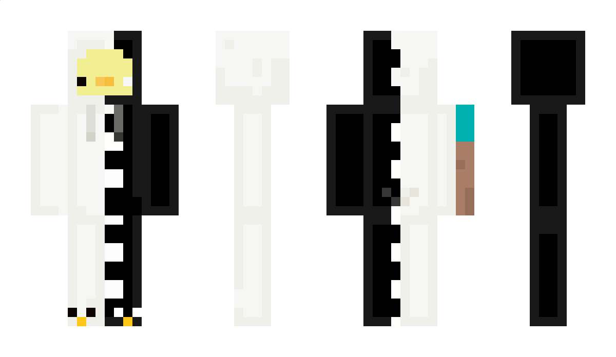 MR_Duck779 Minecraft Skin