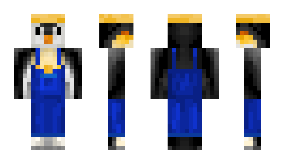 Penguin_viking Minecraft Skin