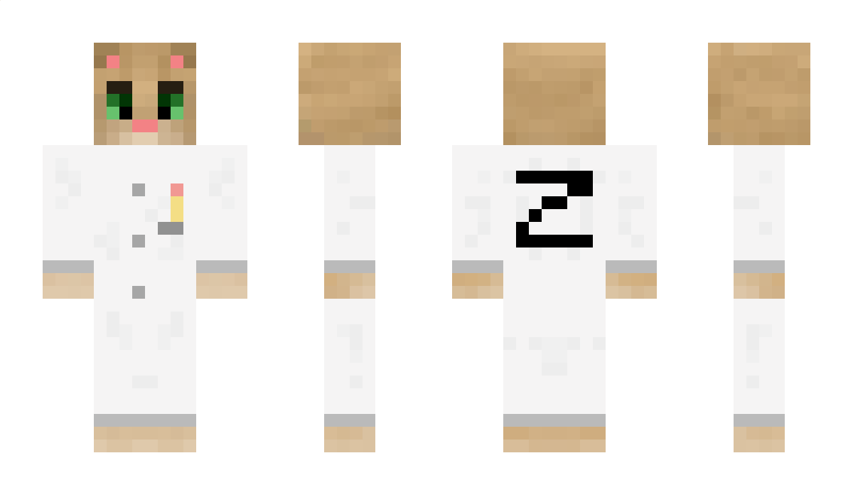 Brickadiaa Minecraft Skin