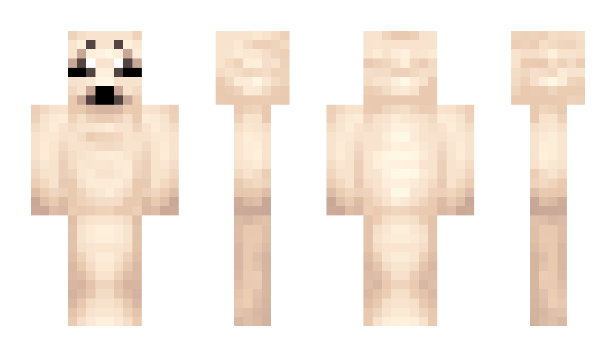 ariann4 Minecraft Skin