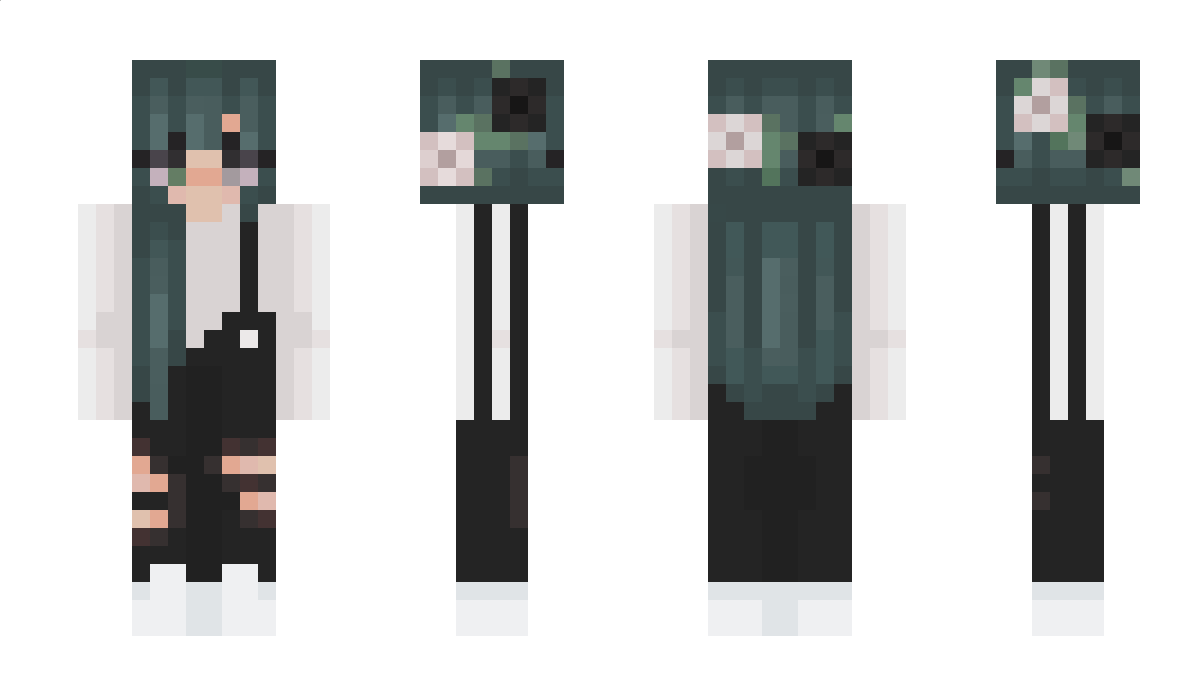 invisairplanes Minecraft Skin