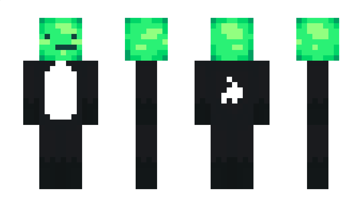 podlogaa Minecraft Skin