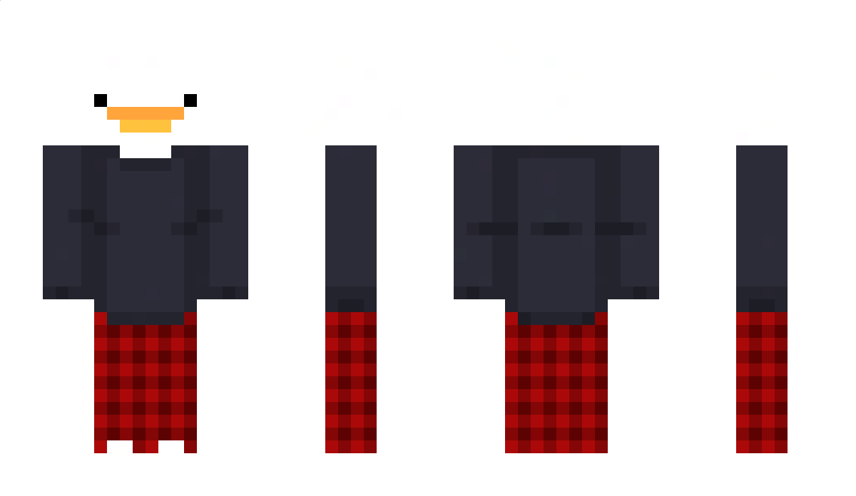 n1n9 Minecraft Skin