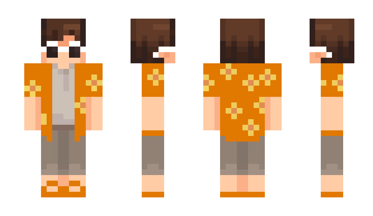 flvmeboy Minecraft Skin