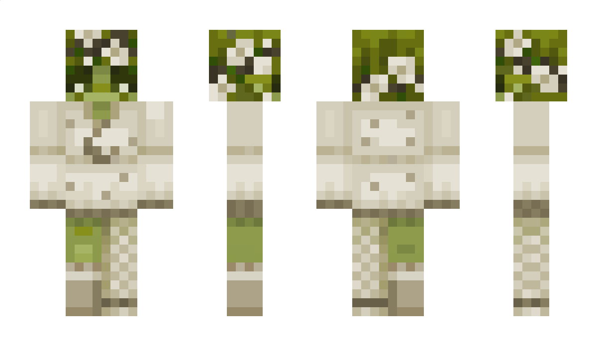 Newtt Minecraft Skin