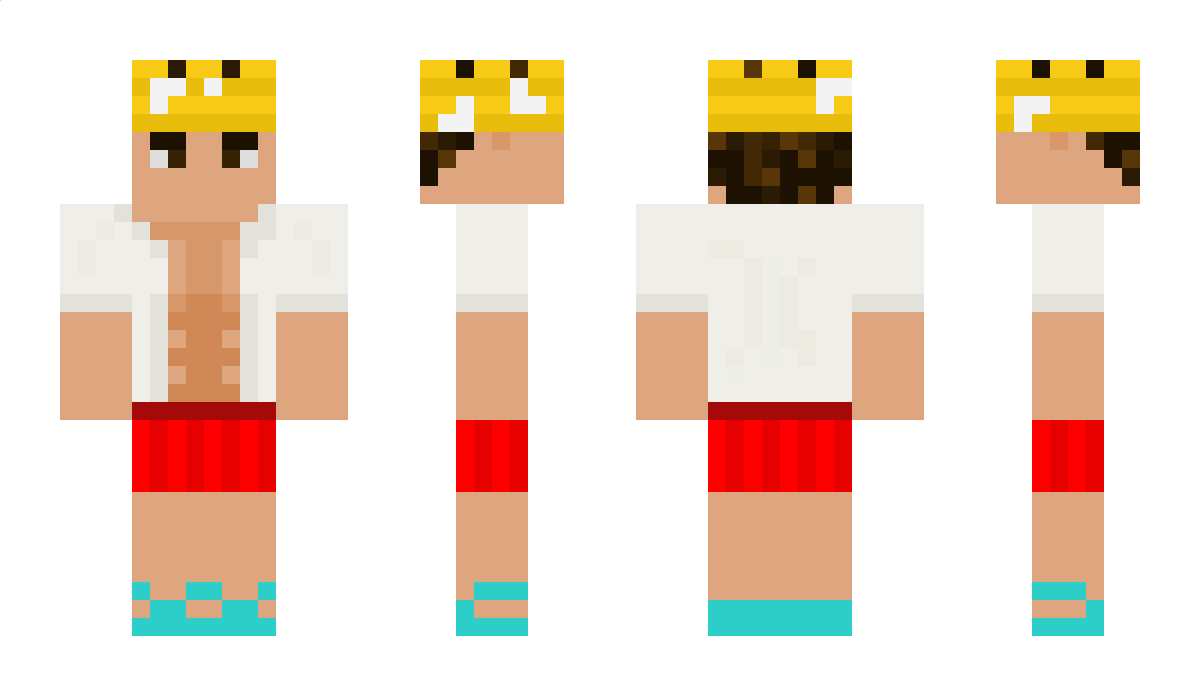 IcyCoast_ Minecraft Skin